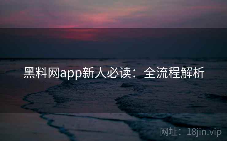 黑料网app新人必读：全流程解析