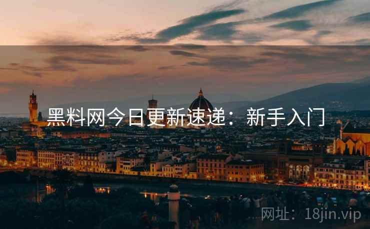 黑料网今日更新速递：新手入门