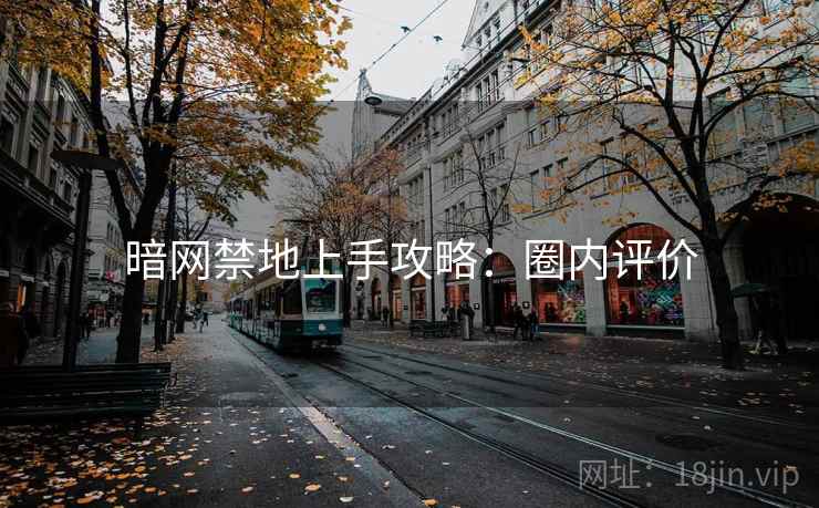 暗网禁地上手攻略：圈内评价